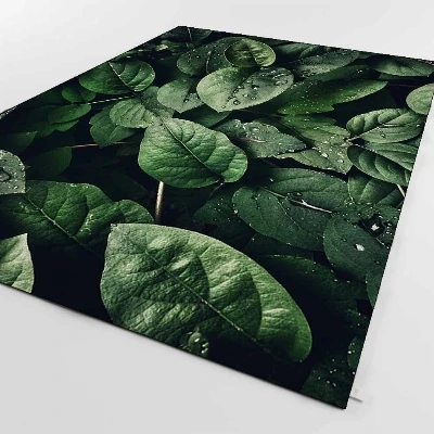Else Forest Green Leaves in Jungle Background 3d Print Non Slip Microfiber Living Room Decorative Modern Washable Area Rug Mat
Else Forest Green Leaves in Jungle Background 3d Print Non Slip Microfiber Living Room Decorative Modern Washable Area Rug Mat