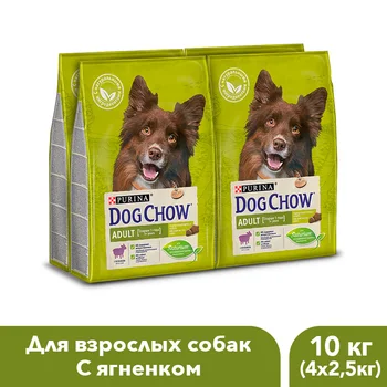 Dog Chow dry food for adult dogs over 1 year old with a lamb, 10 kg.
Dog Chow dry food for adult dogs over 1 year old with a lamb, 10 kg.