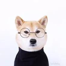 Лого пользователя L***a