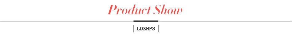 LDZHPS