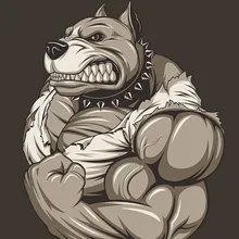 Лого пользователя A***v