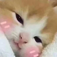 Лого пользователя T***a