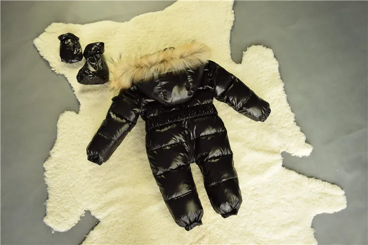 2530053668_756900494