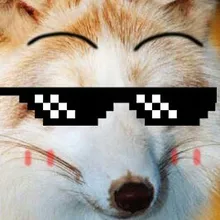Лого пользователя A***v