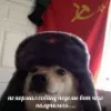 Лого пользователя P***n