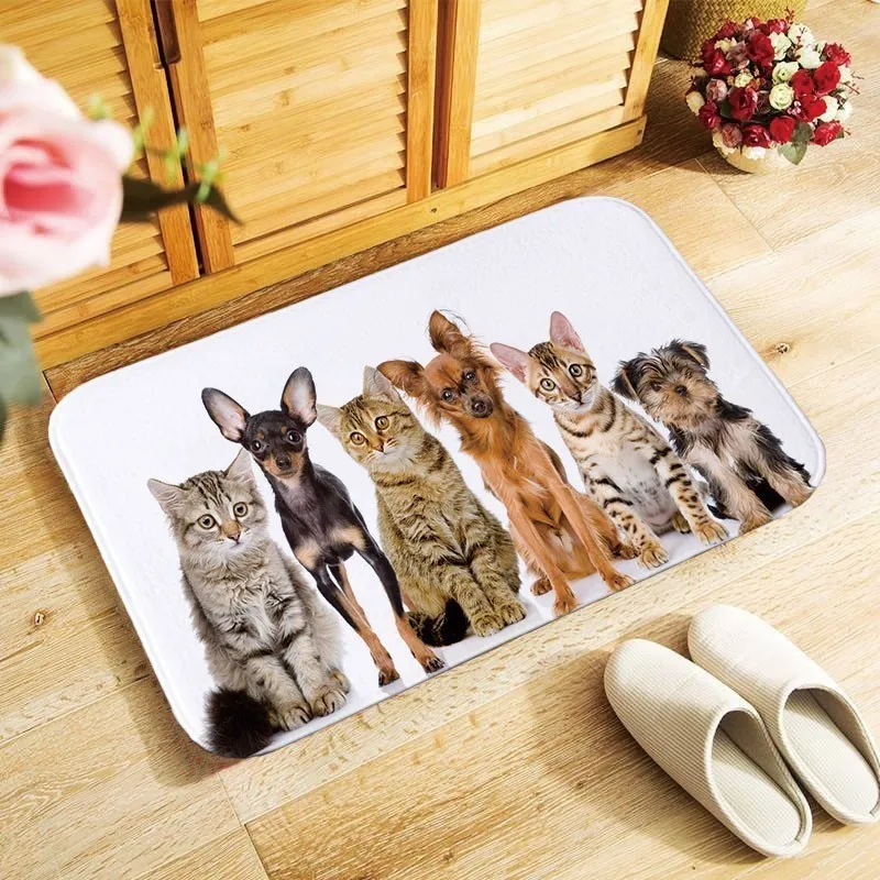 40x60cm HD printed lovely cat dog Doormat Entrance carpet Floor Mat kitchen Rug Indoor/Bathroom anti-slip carpets door mats DD23
40x60cm HD printed lovely cat dog Doormat Entrance carpet Floor Mat kitchen Rug Indoor/Bathroom anti-slip carpets door mats DD23