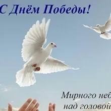 Лого пользователя E***a