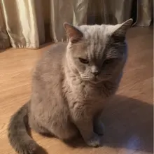 Лого пользователя E***a