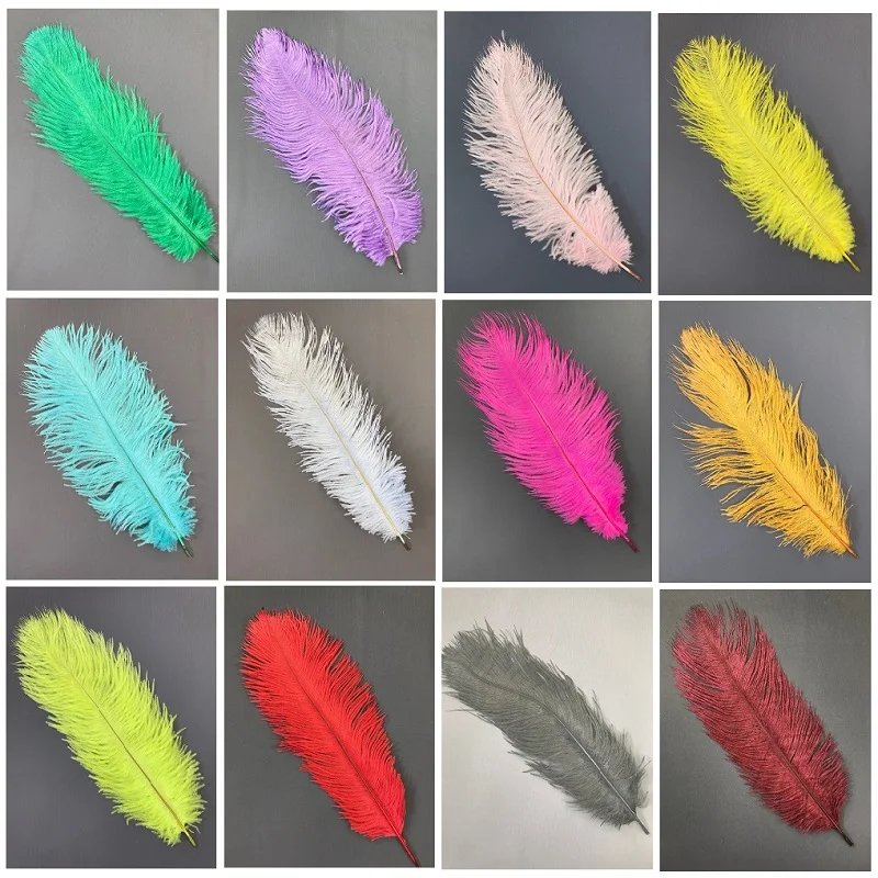 Beautiful Ostrich Feathers for DIY, 25-30 cm, Jewelry Craft Making Wedding Party Decor Accessories Wedding Decoration Fashion 
Beautiful Ostrich Feathers for DIY, 25-30 cm, Jewelry Craft Making Wedding Party Decor Accessories Wedding Decoration Fashion