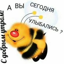 Лого пользователя E***r