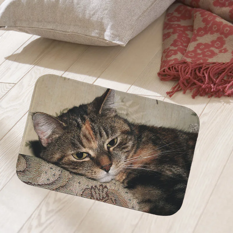Cat dog photo print floor mat hallway doormat suede Welcome entrance door mat anti-slip water Water absorption 40x60cm carpet QX
Cat dog photo print floor mat hallway doormat suede Welcome entrance door mat anti-slip water Water absorption 40x60cm carpet QX