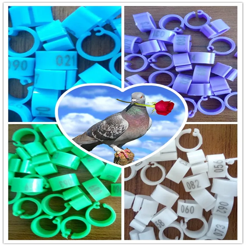 Senven Colors Digital pigeon Foot Ring 8mm DoveBayonet Marking Ring plastic foot ring high quality
Senven Colors Digital pigeon Foot Ring 8mm DoveBayonet Marking Ring plastic foot ring high quality