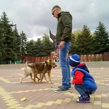 Лого пользователя S***f