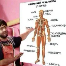 Лого пользователя E***a