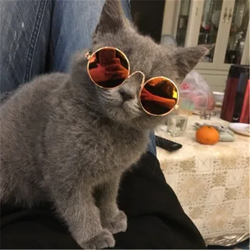 1Pc Colorful Pet Cat Glasses For Little Dog Cat Eye-wear Sunglasses Cute Metal Photos Props Accessories Supplies
1Pc Colorful Pet Cat Glasses For Little Dog Cat Eye-wear Sunglasses Cute Metal Photos Props Accessories Supplies