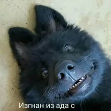 Лого пользователя E***A