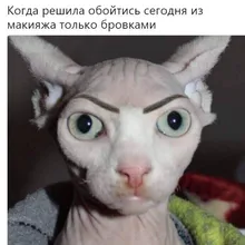 Лого пользователя I***a