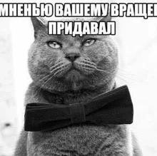 Лого пользователя I***v