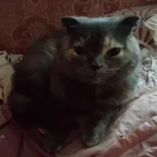 Лого пользователя V***B