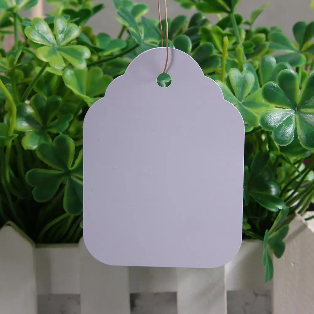 100Pcs Plants Hang Tag Labels Seedling Garden Flower Pot Plastic Tags Number Plate Hanging Reusable PVC Garden Tools 3.6*2.5CM
100Pcs Plants Hang Tag Labels Seedling Garden Flower Pot Plastic Tags Number Plate Hanging Reusable PVC Garden Tools 3.6*2.5CM