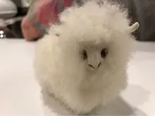 Лого пользователя v***v