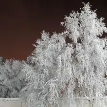 Лого пользователя S***w