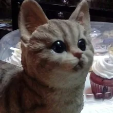 Лого пользователя E***a