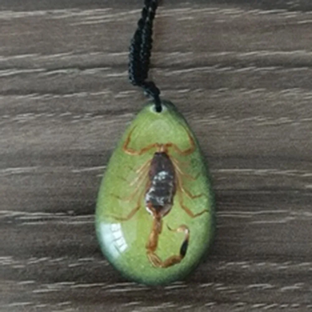 2017 Insect Necklace Transparent simulated Scorpion Pendant Necklace with Rope adjustable Multi-colors Selectable
2017 Insect Necklace Transparent simulated Scorpion Pendant Necklace with Rope adjustable Multi-colors Selectable