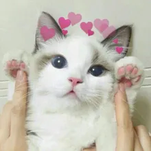 Лого пользователя a***a