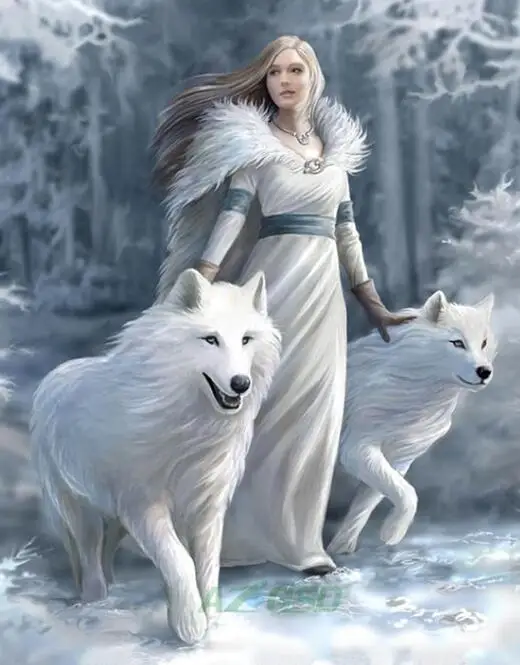 5D DIY Full square Diamond Painting Cross Stitch White Wolf Princess Diamond Rhinestone Embroidery Mosaic home decor
5D DIY Full square Diamond Painting Cross Stitch White Wolf Princess Diamond Rhinestone Embroidery Mosaic home decor