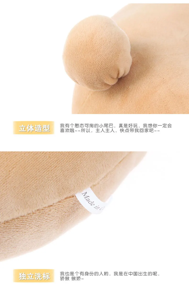 3688394448_730792622