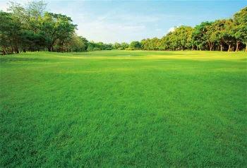 Laeacco Spring Green Grassland Forest Trees Scenic Photography Backgrounds Customized Photographic Backdrops For Photo Studio
Laeacco Spring Green Grassland Forest Trees Scenic Photography Backgrounds Customized Photographic Backdrops For Photo Studio