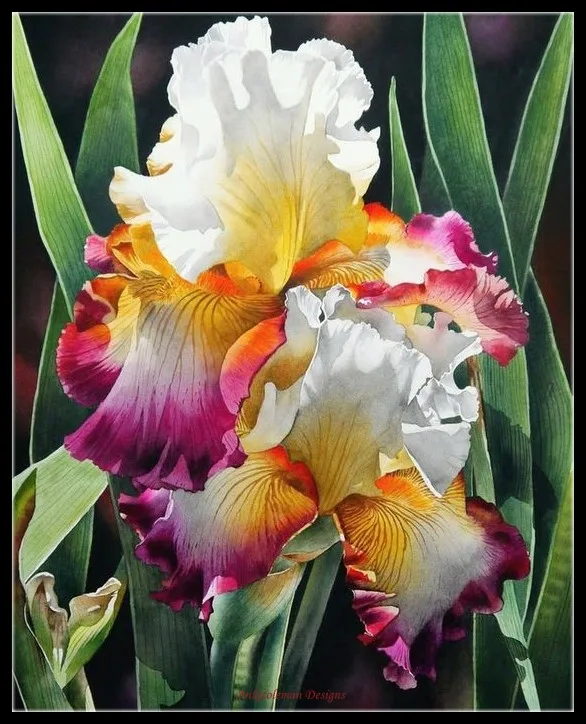 Iris Flowers 3 - Counted Cross Stitch Kits - DIY Crafts Handmade Needlework Embroidery 14 ct Cross Stitch Sets DMC Color
Iris Flowers 3 - Counted Cross Stitch Kits - DIY Crafts Handmade Needlework Embroidery 14 ct Cross Stitch Sets DMC Color