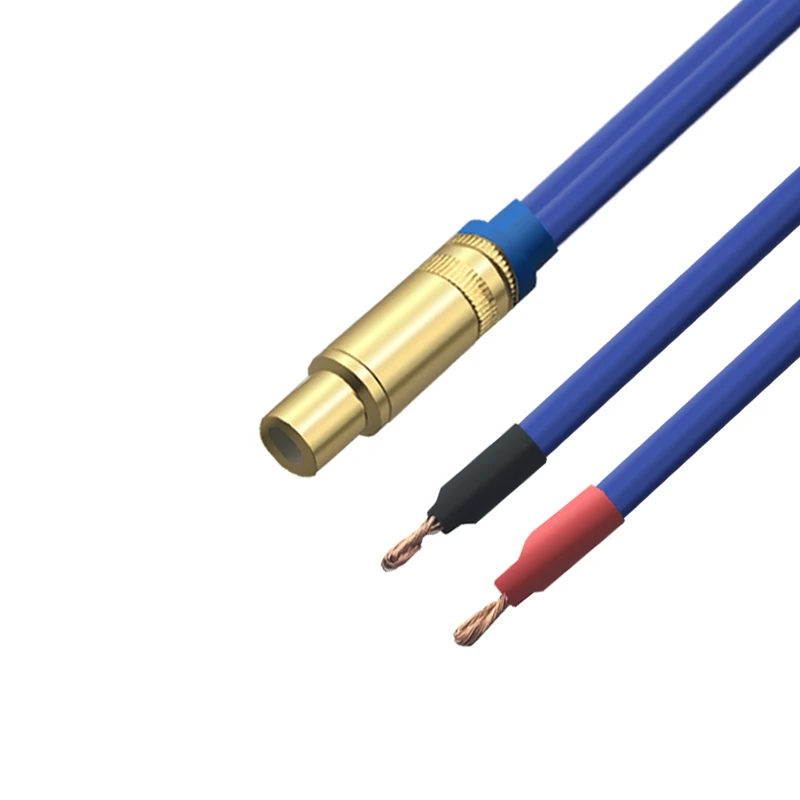 HIFI Active Subwoofer Speaker Cable 2 Bare Wire Head to RCA Single Audio Cable Female RCA OFC Gold-plated Amplifier
HIFI Active Subwoofer Speaker Cable 2 Bare Wire Head to RCA Single Audio Cable Female RCA OFC Gold-plated Amplifier