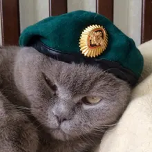 Лого пользователя I***n