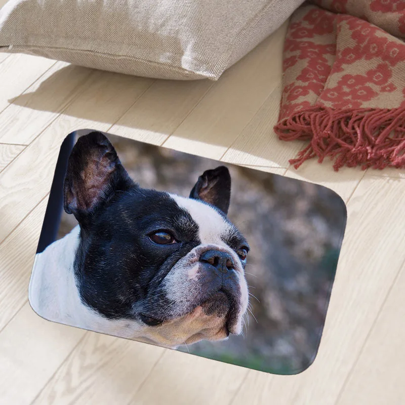 Chihuahua bulldog dog 40x60cm floor mat hallway doormat suede Welcome entrance door mat anti-slip water Water absorption carpet
Chihuahua bulldog dog 40x60cm floor mat hallway doormat suede Welcome entrance door mat anti-slip water Water absorption carpet