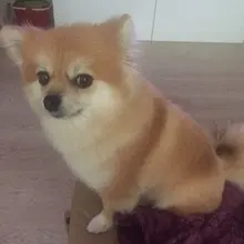 Лого пользователя Y***n