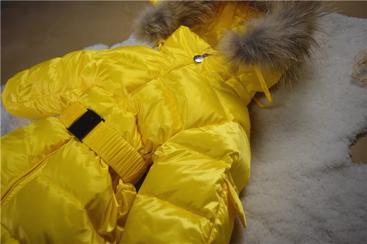 3661763007_756900494