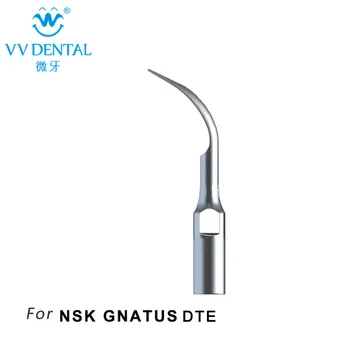 3pcs GD2 Dental Supragingival Scaling Tip For SATELEC/WOODPECKER DTE/ HENRY SCHEIN S-Series Remove Supragingival Heavy Calculus
3pcs GD2 Dental Supragingival Scaling Tip For SATELEC/WOODPECKER DTE/ HENRY SCHEIN S-Series Remove Supragingival Heavy Calculus