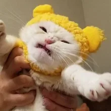Лого пользователя C***a