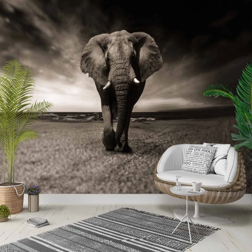 Else Black Gray White Africa Elephant Animal 3d Photo Cleanable Fabric Mural Home Decor living Room Bedroom Background Wallpaper
Else Black Gray White Africa Elephant Animal 3d Photo Cleanable Fabric Mural Home Decor living Room Bedroom Background Wallpaper