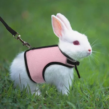 Pet Rat Leash Harness Rabbit Hamster Leash Hamster Clothes Guinea Pig Clothes Adjustable Rope Collar Dropshipping Pet Supplies
Pet Rat Leash Harness Rabbit Hamster Leash Hamster Clothes Guinea Pig Clothes Adjustable Rope Collar Dropshipping Pet Supplies