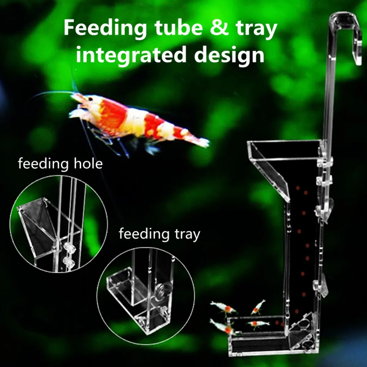 M/L Acrylic Aquarium Feeder Fish Shrimp Food Feeder Granules Mini Diet Feeding Tools Supplies Fish Aquatic Feeding Accessories
M/L Acrylic Aquarium Feeder Fish Shrimp Food Feeder Granules Mini Diet Feeding Tools Supplies Fish Aquatic Feeding Accessories