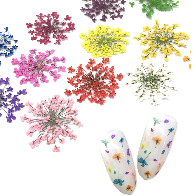 36 шт.12 цветов 3D сушеные цветы настоящий сухой цветок украшения для ногтей DIY