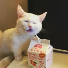 Лого пользователя P***a
