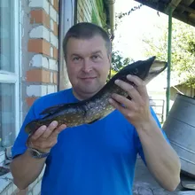 Лого пользователя O***n