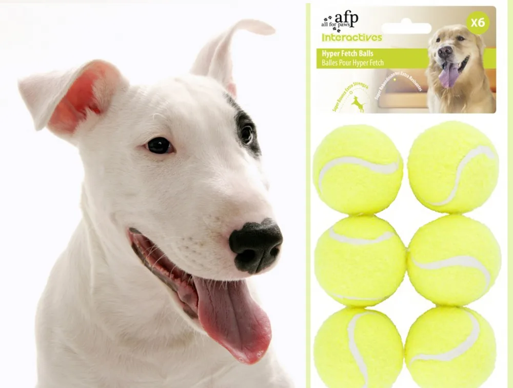 6 x Dog Tennis Balls Replacement Exercise Trainer Launcher Thrower Chucker Cat Bounce Sport Toy AFP Hyper Fetch Mini Pet
6 x Dog Tennis Balls Replacement Exercise Trainer Launcher Thrower Chucker Cat Bounce Sport Toy AFP Hyper Fetch Mini Pet