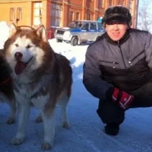 Лого пользователя g***g