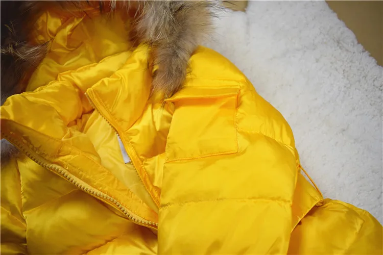 3661748523_756900494