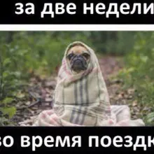 Лого пользователя M***n